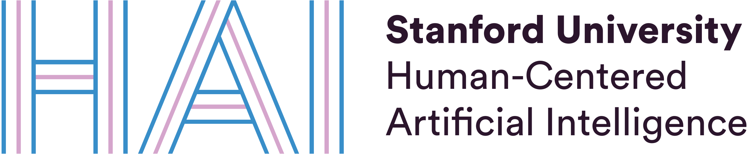 Stanford's AI Audit Challenge 2023 finalisten